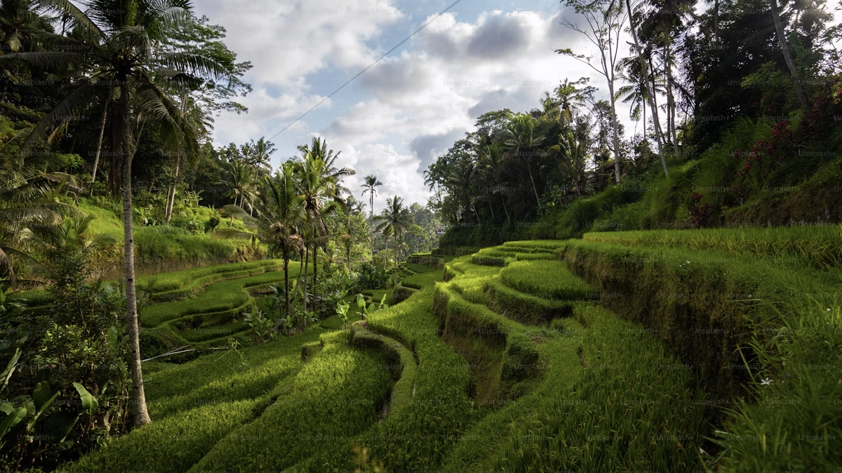 bali villas seminyak