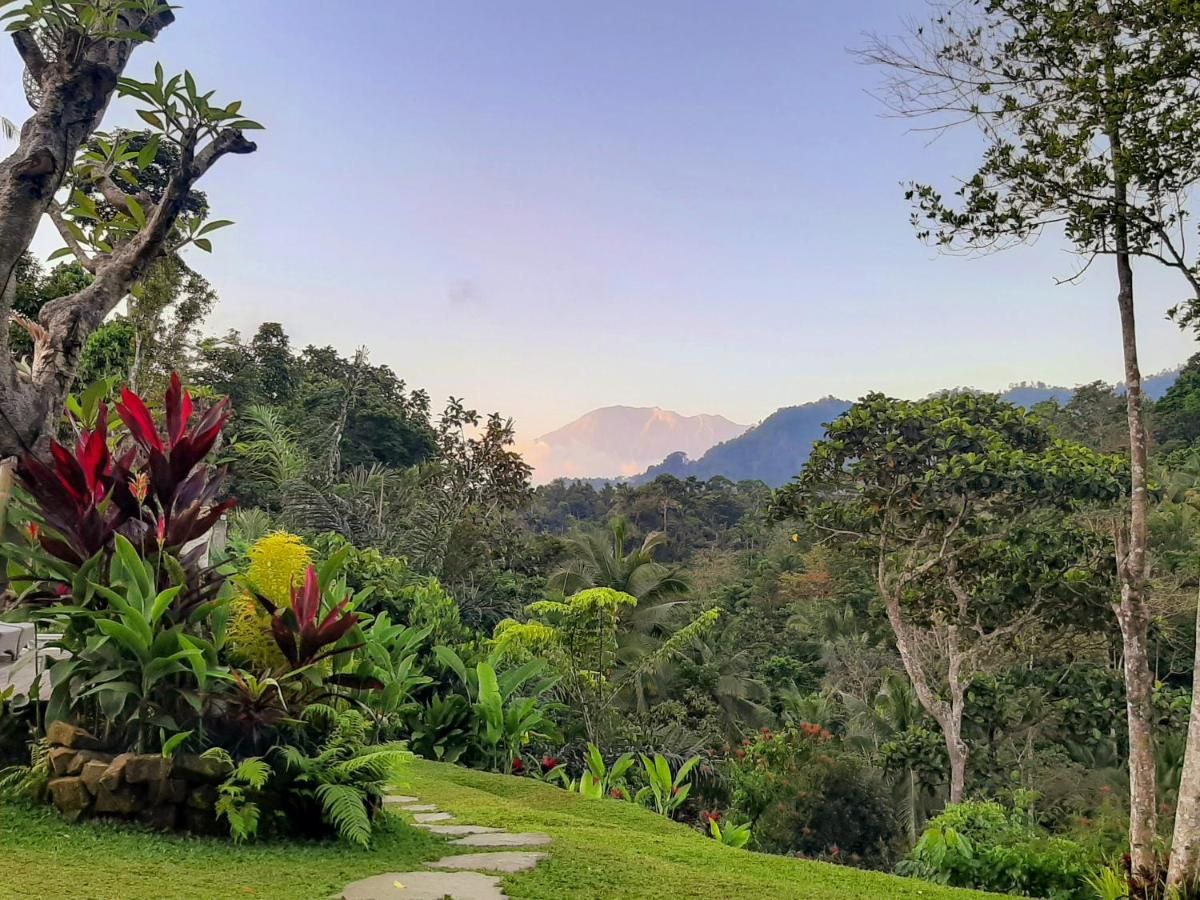 Tropical resort poolside with curved rattan lounge chairs, white umbrella, and lush palm-fringed jungle views. - Bali Villas