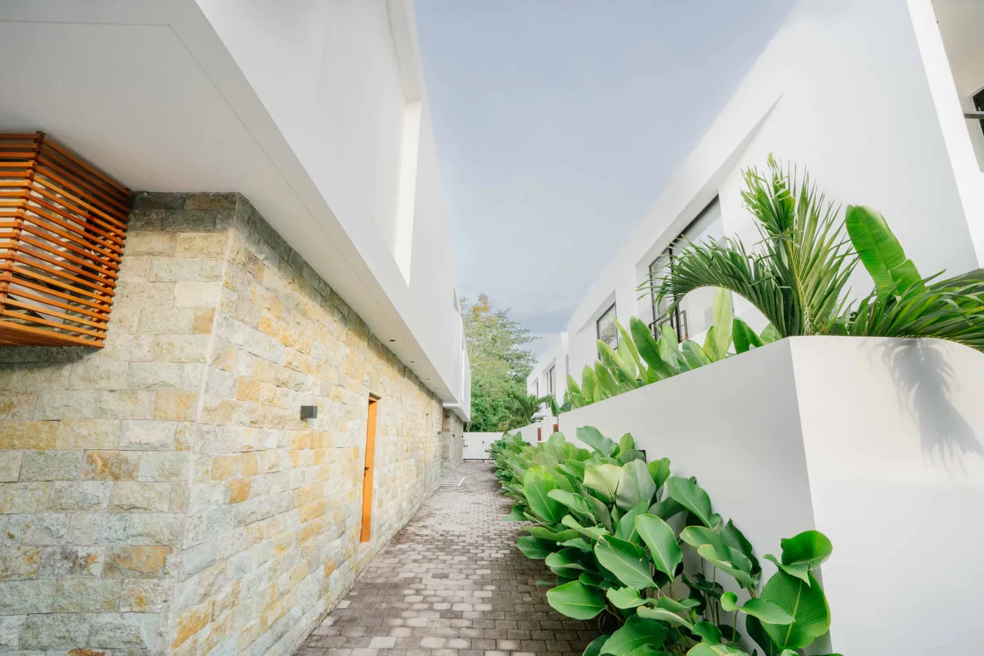 Modern minimalist bathroom interior featuring a walk-in shower, concrete vanity with sink and mirror, rattan pendant lights, and potted pampas grass. - Bali Villas