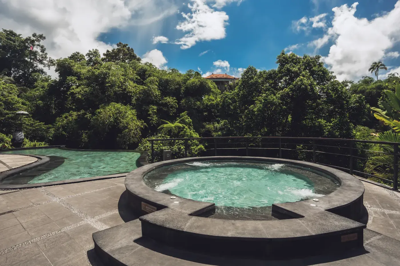 Aksari Villa ubud - Grand One Bedroom Villa with Private Pool - photo 3.2