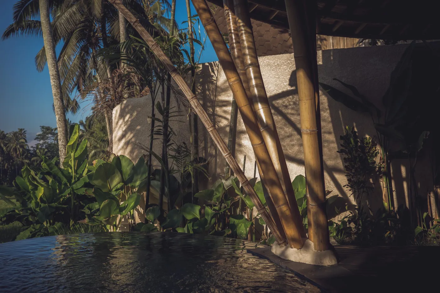 EQUIPOISE - Luxury Eco Bamboo Resort in Ubud Rice field View - photo 3.4