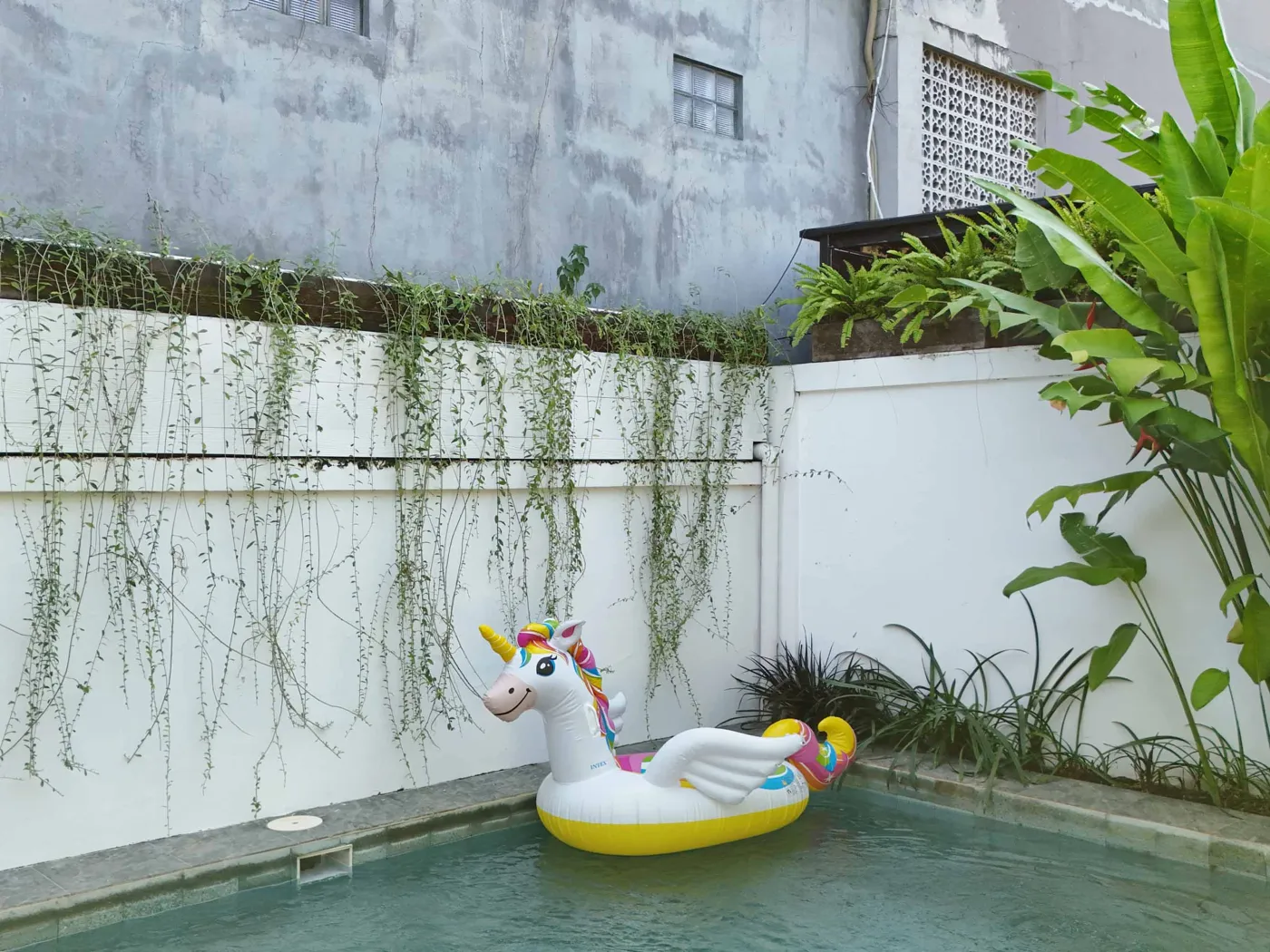 The White House Villa Taeyvela Seminyak