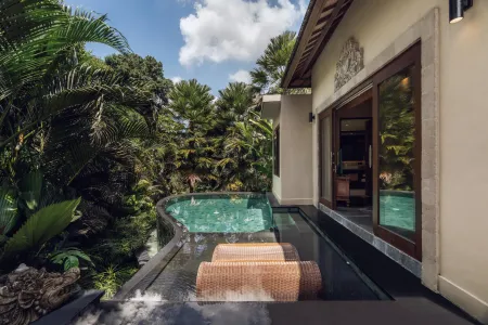 2 Bedroom Private Pool With River View In Ubud 1