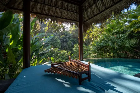 Luxury Villa 1 Bedroom Private Pool With River View In Ubud 5