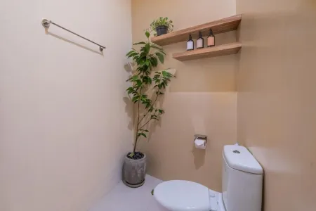 Compact modern bathroom with white toilet, tall potted plant, small shelf of toiletries, and beige walls. - Bali Villas
