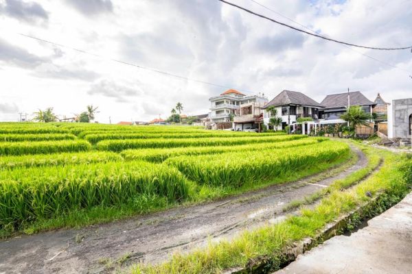 1 bedroom villas in canggu HRCG0317 - 17
