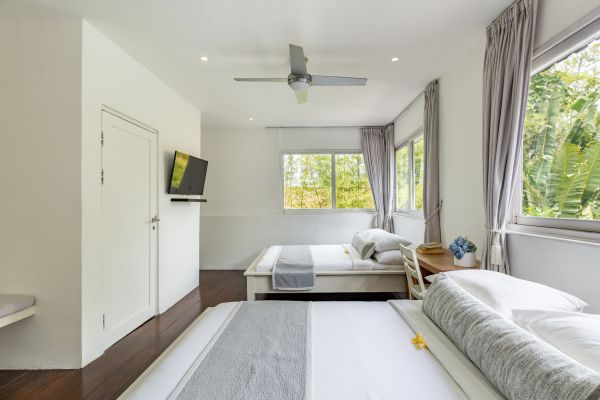 Serene tropical bedroom with white walls, wooden floor, king bed with gray linens and frangipani flower, ceiling fan, wall-mounted TV, and large window views of lush greenery.