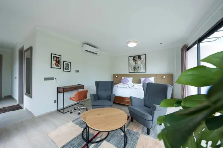 Modern hotel bedroom interior with king bed, gray armchairs, wooden coffee table, desk, potted plant, and large windows with views.