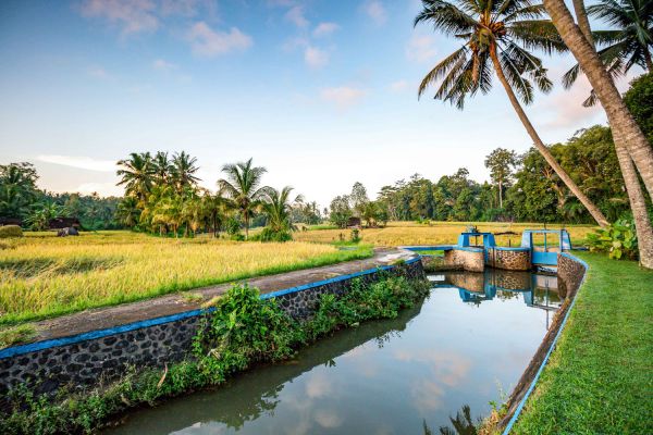 Villas in tabanan HRTB0369 - 9