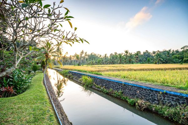 Villas in tabanan HRTB0369 - 8