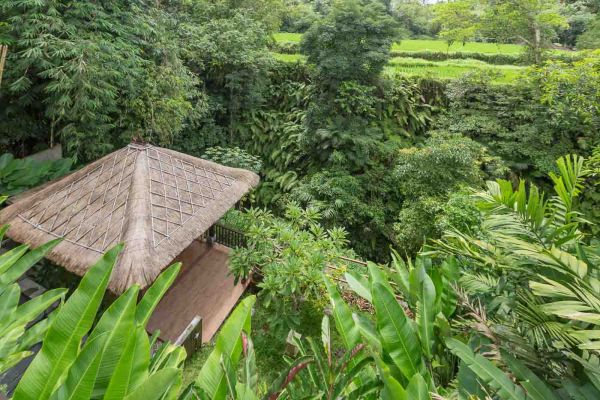 4 bedroom villas in ubud HRUB0367 - 15