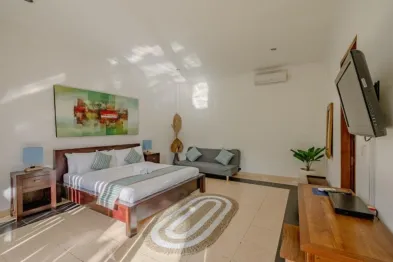 Spacious Balinese-style bedroom with wooden king bed, abstract wall art, gray loveseat, potted plant, and wall-mounted TV.