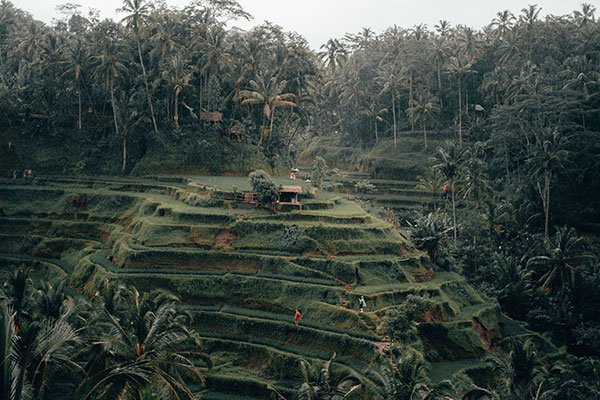  villlas in ubud